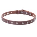 Star Studded Narrow Leather Labrador Collar