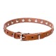 Dog Collar Made of Leather with Nickel Decorations