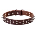 Labrador Collar of Leather with Stars and Spikes