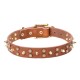 Leather Dog Collar with Brass Spikes