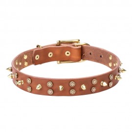 Leather Dog Collar with Brass Spikes