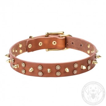 Leather Dog Collar with Brass Spikes