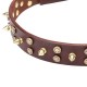 Bequemes Designer Halsband aus Leder für Labrador mit Messing Spikes