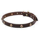 Labrador Collar Leather with One Row Brass Studs