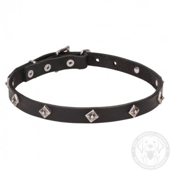 Leather Dog Collar with a Rows of Silver-like Pyramids