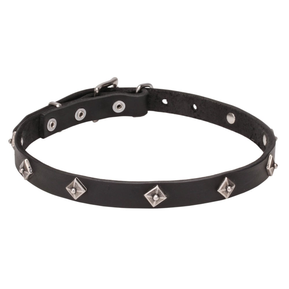silver dog collar