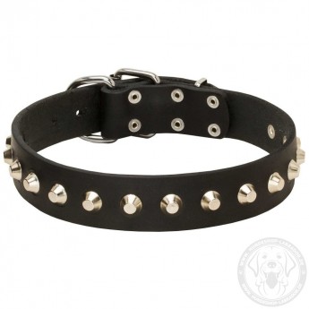 Studded Leather Dog Collar with Nickel Pyramids