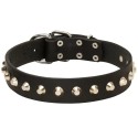 Labrador Collar of Studded Leather with Nickel Cones