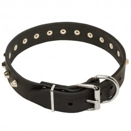 Studded Leather Dog Collar with Nickel Pyramids