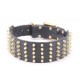 Wide Leather Collar with Gold-like Spikes