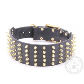 Wide Leather Collar with Gold-like Spikes