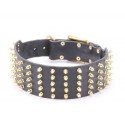 Labrador Collar Leather Extra Wide with Brass Spikes