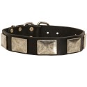 Labrador Collar Leather with Old-Like Nickel Plates