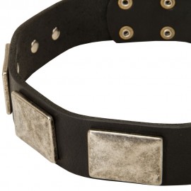 Leather Dog Collar with Vintage Nickel Plates