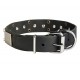 Leather Dog Collar with Nickel Decor