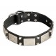 Leather Dog Collar with Nickel Decor