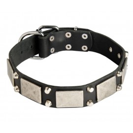 Leather Dog Collar with Nickel Decor
