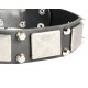 Leather Dog Collar with Nickel Decor