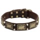 Dog Leather Collar with Vintage Brass Plates and Nickel Studs