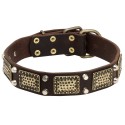 Labrador Collar Leather with Studs and Vintage Plates