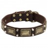 Dog Leather Collar with Vintage Brass Plates and Nickel Studs