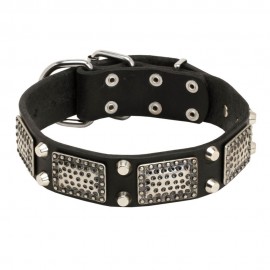 Decorated Leather Dog Collar with Brass Plates and Nickel Pyramids