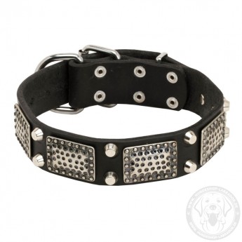 Decorated Leather Dog Collar with Brass Plates and Nickel Pyramids