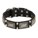 Labrador Collar Leather, Cones & Vintage Nickel Plates