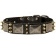 Spiked Dog Collar with NickelMssive Plates