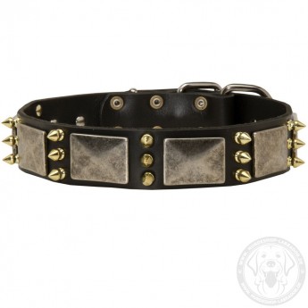 Spiked Dog Collar with NickelMssive Plates