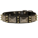 Labrador Collar, Leather, Spikes and Massive Plates