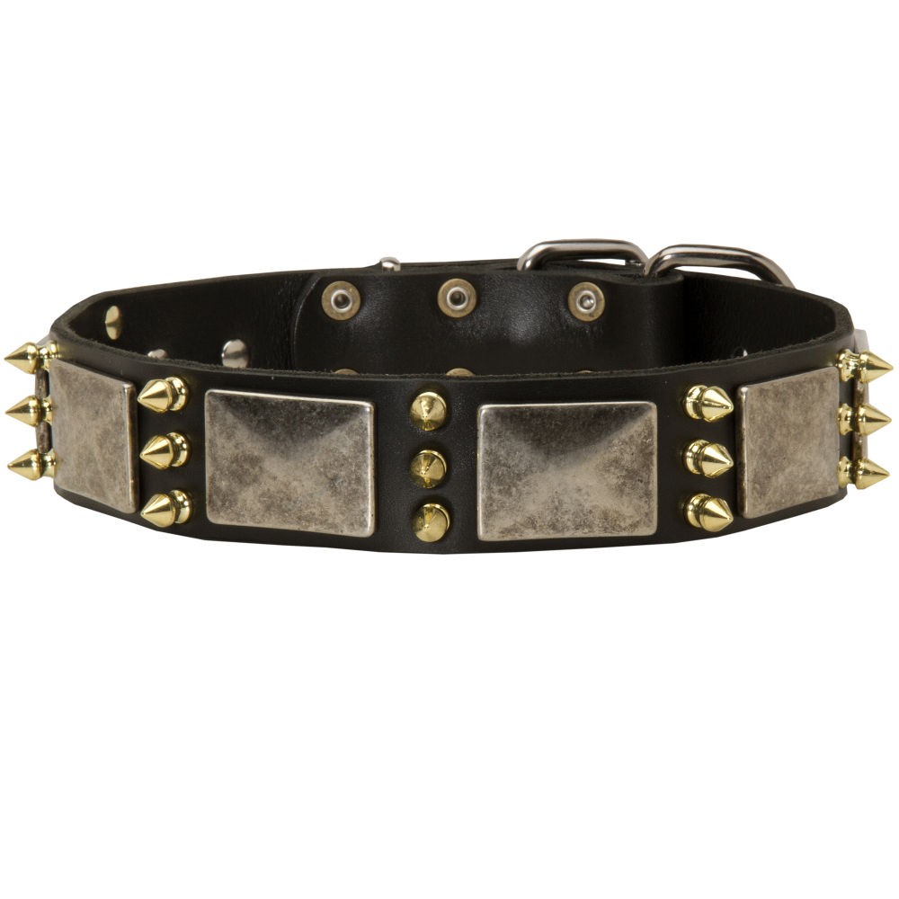 spiked dog collars