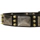 Spiked Dog Collar with NickelMssive Plates