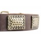 Leather Dog Collar with Vintage Brass Plates