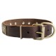 Leather Dog Collar with Vintage Brass Plates