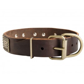 Leather Dog Collar with Vintage Brass Plates