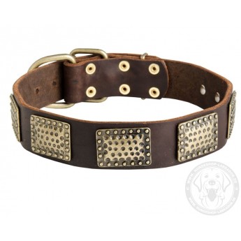 Leather Dog Collar with Vintage Brass Plates