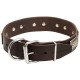 Leather Dog Collar with Massive Nickel Plates