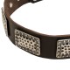 Leather Dog Collar with Massive Nickel Plates