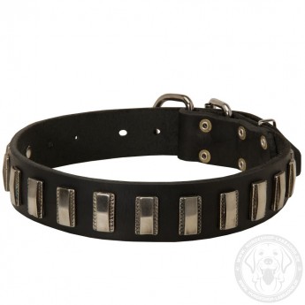 Leather Dog Collar with Nickel Plates