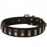 Leather Dog Collar with Nickel Plates