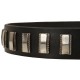 Leather Dog Collar with Nickel Plates