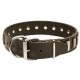 Leather Dog Collar with Nickel Plates