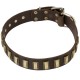 Leather Dog Collar with Small Brass Plates