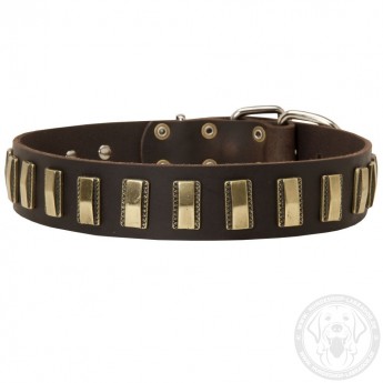 Leather Dog Collar with Small Brass Plates