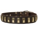 Labrador Collar Leather with Goldish Brass Plates