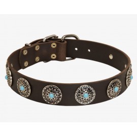 Leather Dog Collar with Silver Circles