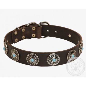 Leather Dog Collar with Silver Circles