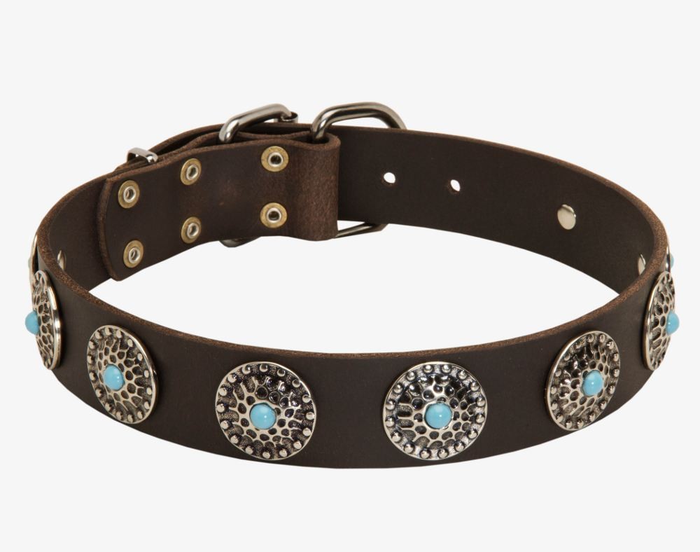 silver dog collar