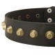 Wide Leather Dog Collar with Brass Pyramids